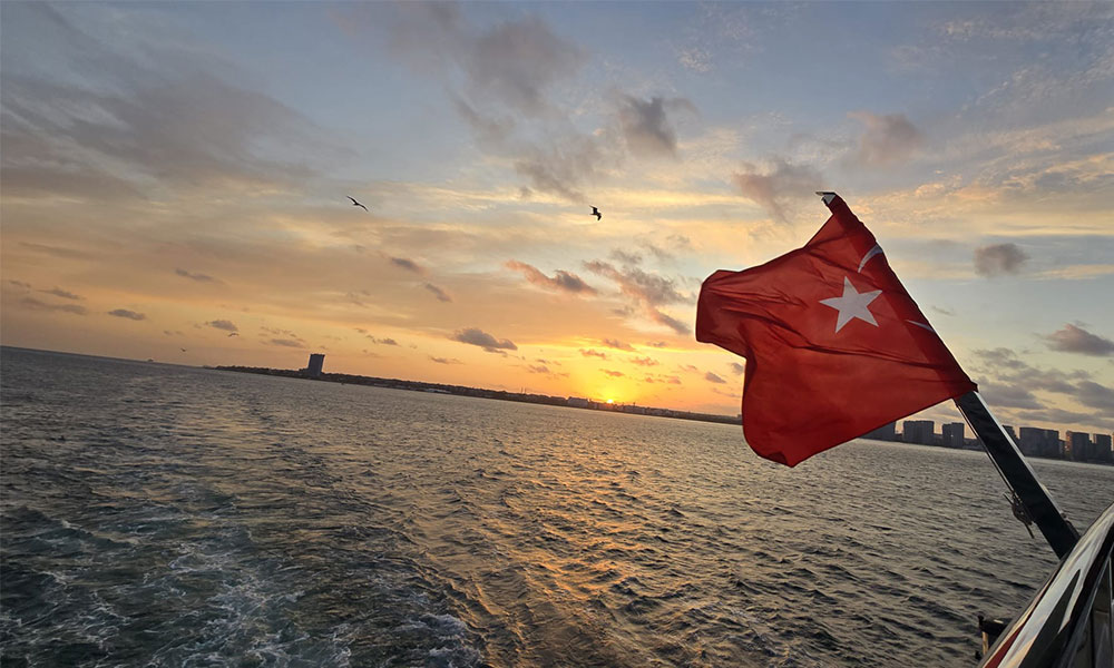 inoea2025, konferencja, atrezja przelyku, stambul